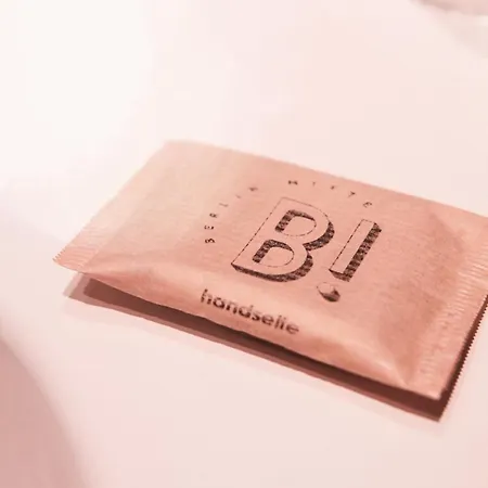 Birgit Mitte מלון 3*