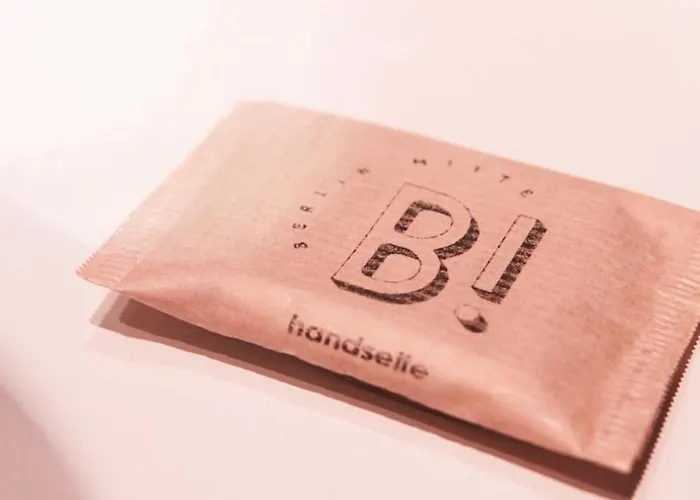 Birgit Mitte 호텔 3*